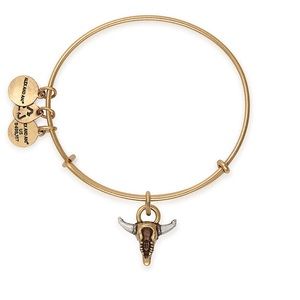 ALEX AND ANI | Spirited Skull Charm Bangle